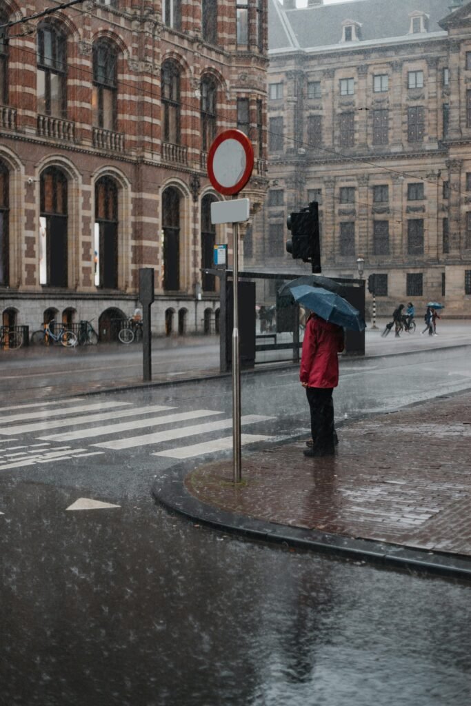 praca z traumą po polsku w belgii