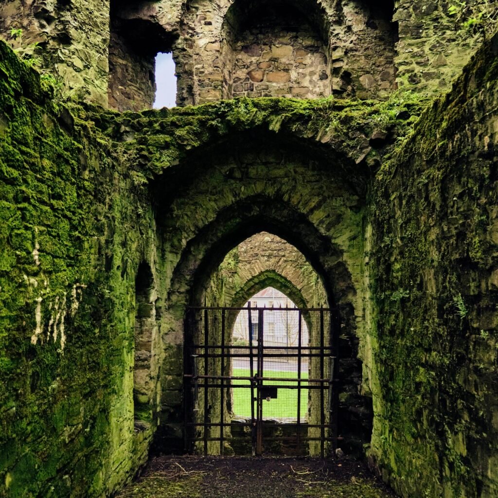 terapia uzależnień po polsku w irlandii