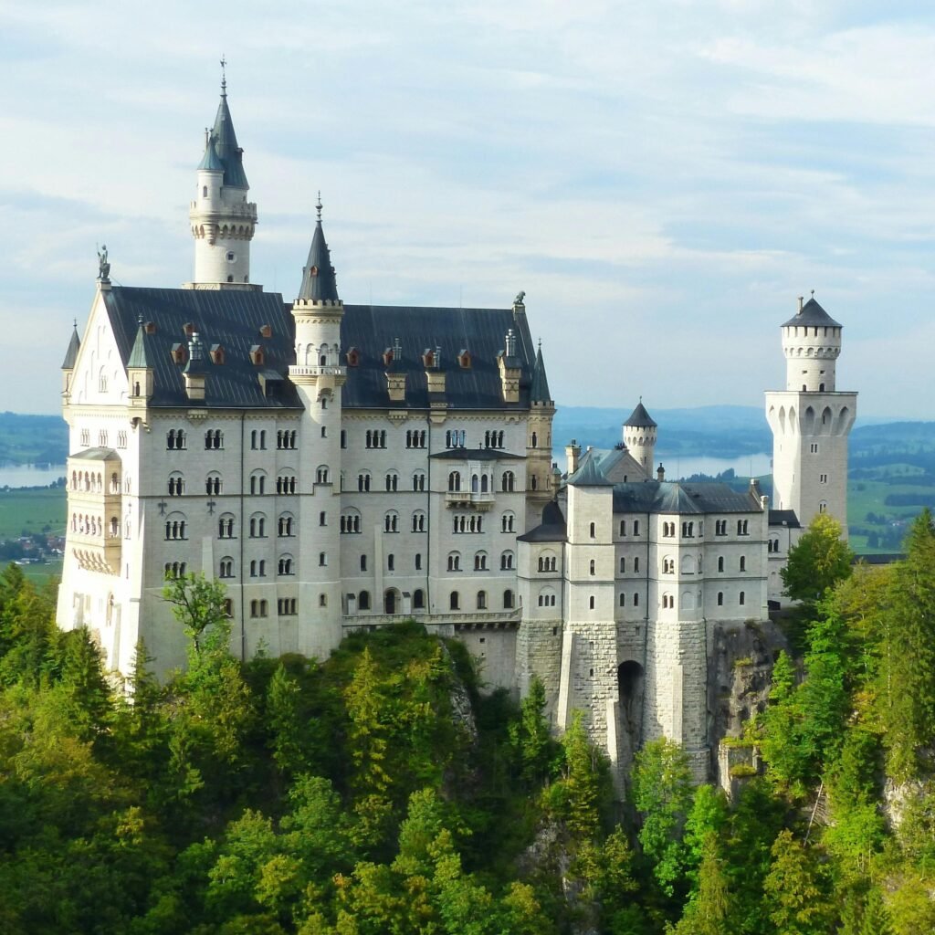 pexels pixabay 210459